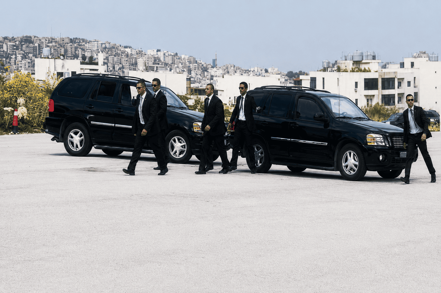 VIP Security